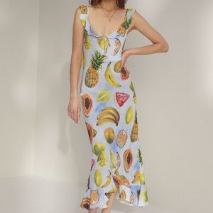 NWT Wilfred “Donna” Fruit Print Dress!